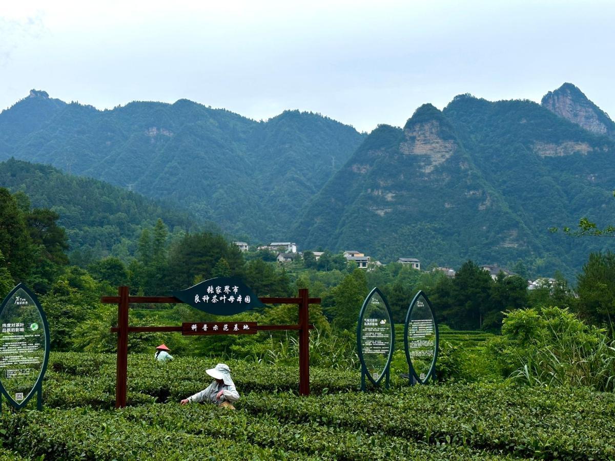 Zhangjiajie National Park Nvue Resorts Екстериор снимка